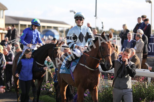 yr08102022r5-12 - Race 5 3.50pm The Coral Committed To Safer Gambling EBFStallions.com Maiden Stakes