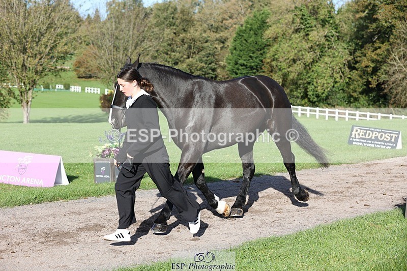 241027-095952-15629 - 452-Eleanor.Blewitt-CARRY.ON.PRINCESS