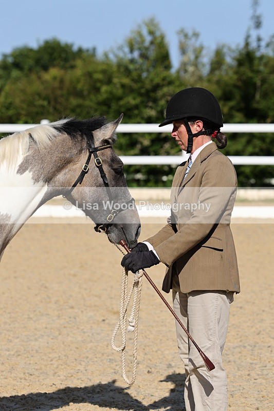1X9A0669 - Class 3: Youngstock 1, 2, 3 year old not to exceed 153cm
