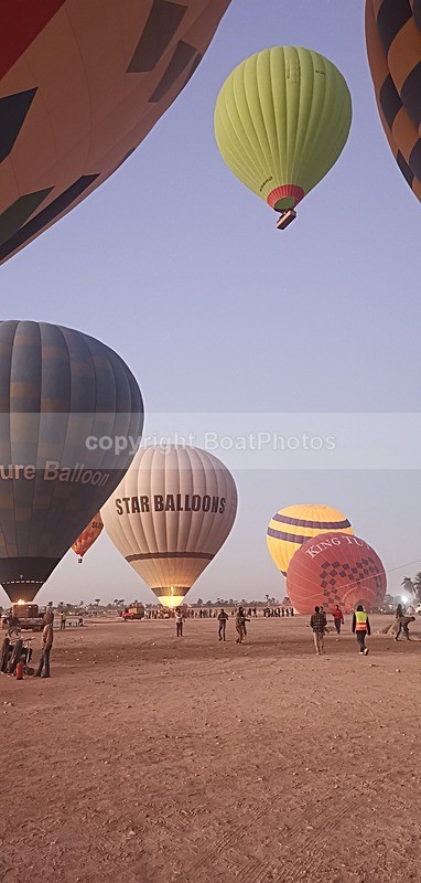 IMG_20241120_055311 - Egypt