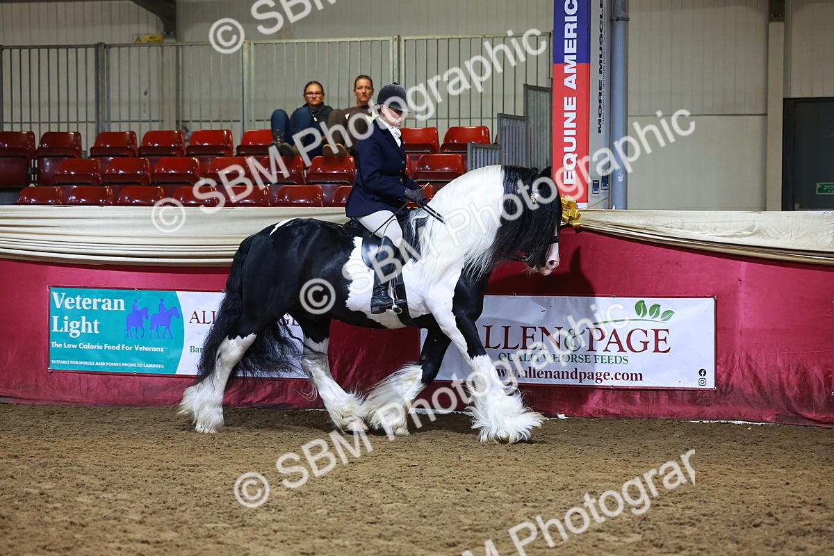 SBM_15380 - Class Q - Ridden Horse Champ