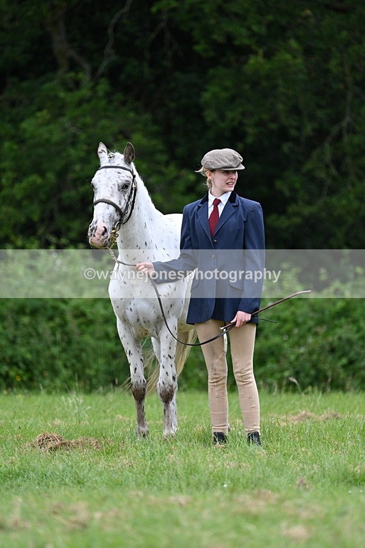 WJ7_4423 - Class 14B Prettiest Mare