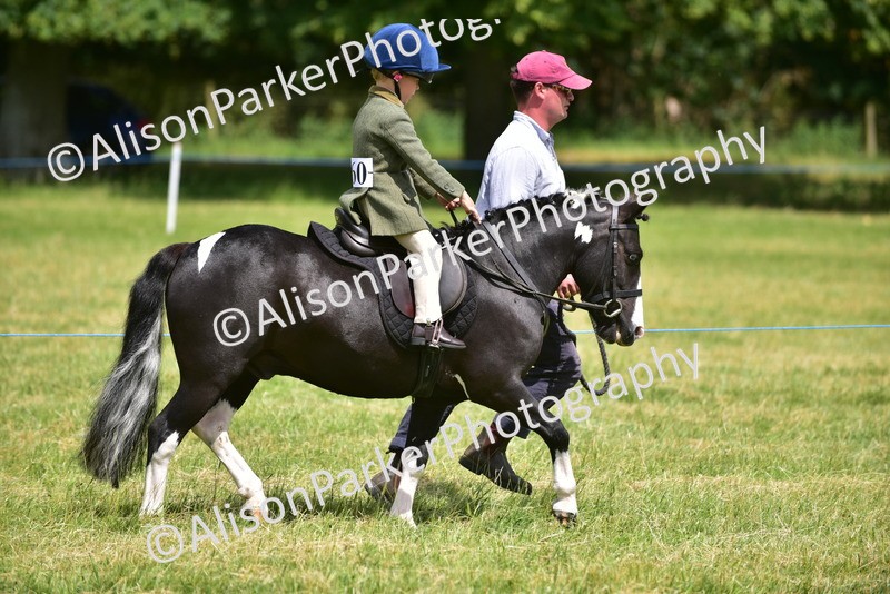 20260614-1373 - Class 11b - Lead Rein Pony (Plaited)