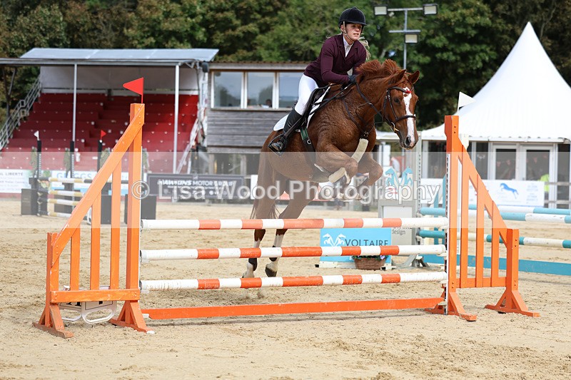 3E7A2317 - Class 4: Senior British Novice/90cm open