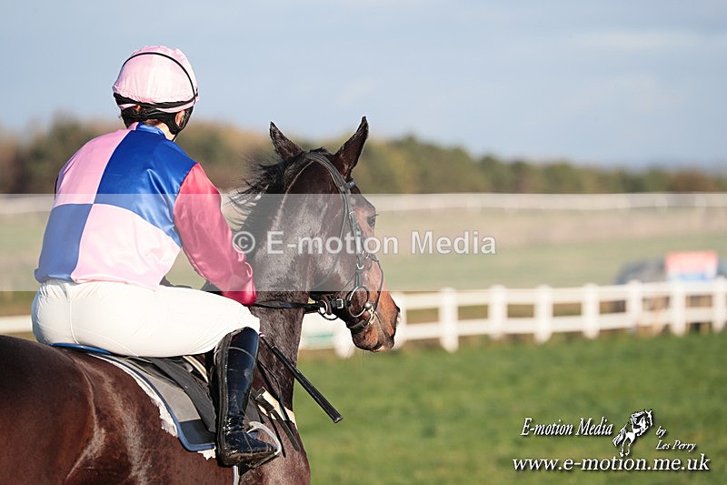 PtP 011224 678 - Hursley Hambledon Point-to-Point Larkhill 01/12/24