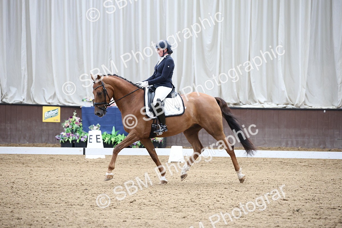 SBM_002890 - Class 5 - Novice 6 Gold - 10.24-11.30
