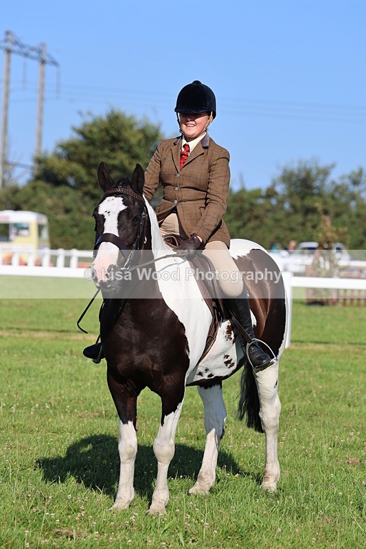 IMG_1407 - Class 28: Ridden Plaited Coloured Pony