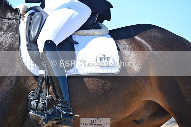 250406-125128-12505 - 015-Daisy Hills-Midtgaards Gijon