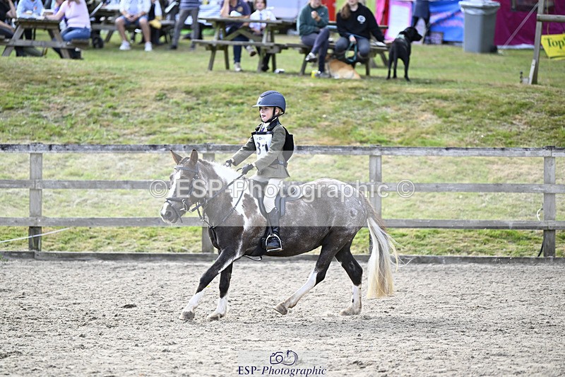 240822X-155056-12010 - 40cm A R2 15.00 to 16.16