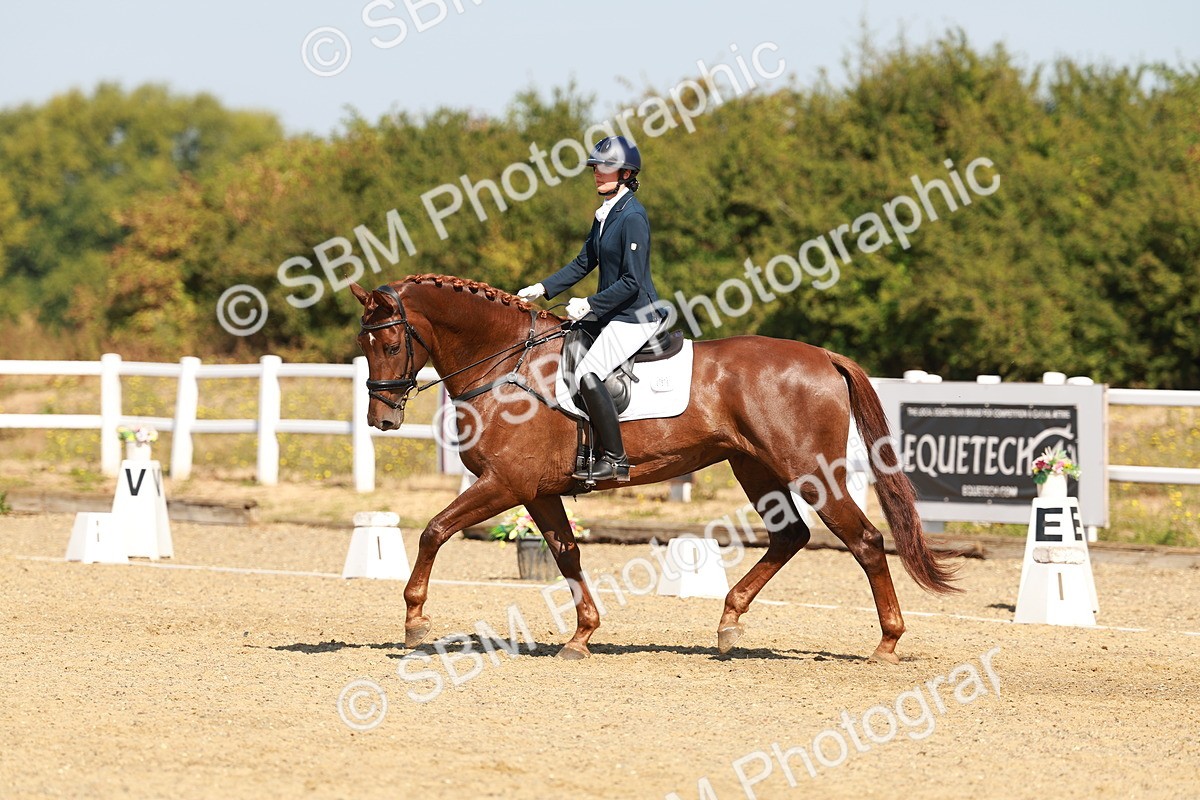 SBM_017510 - Class 9 - N5 Bronze 10.33.11.36