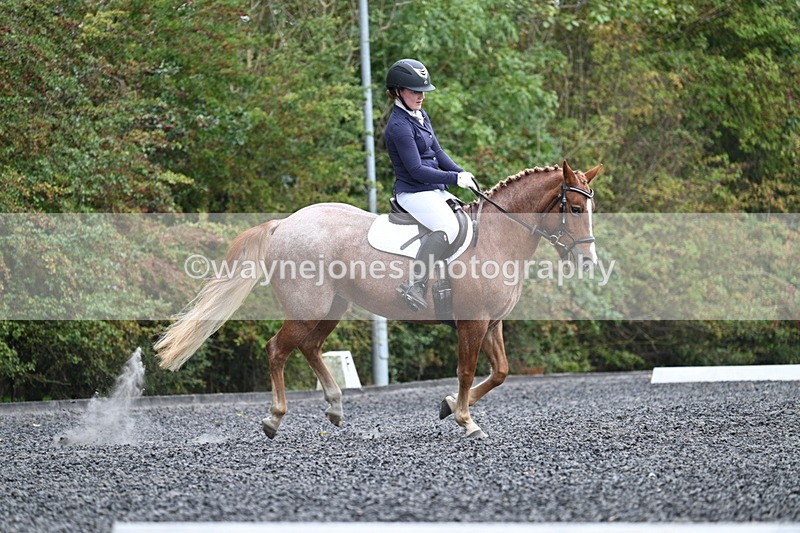 WJ7_3754 - Time 11:04 to 11:38