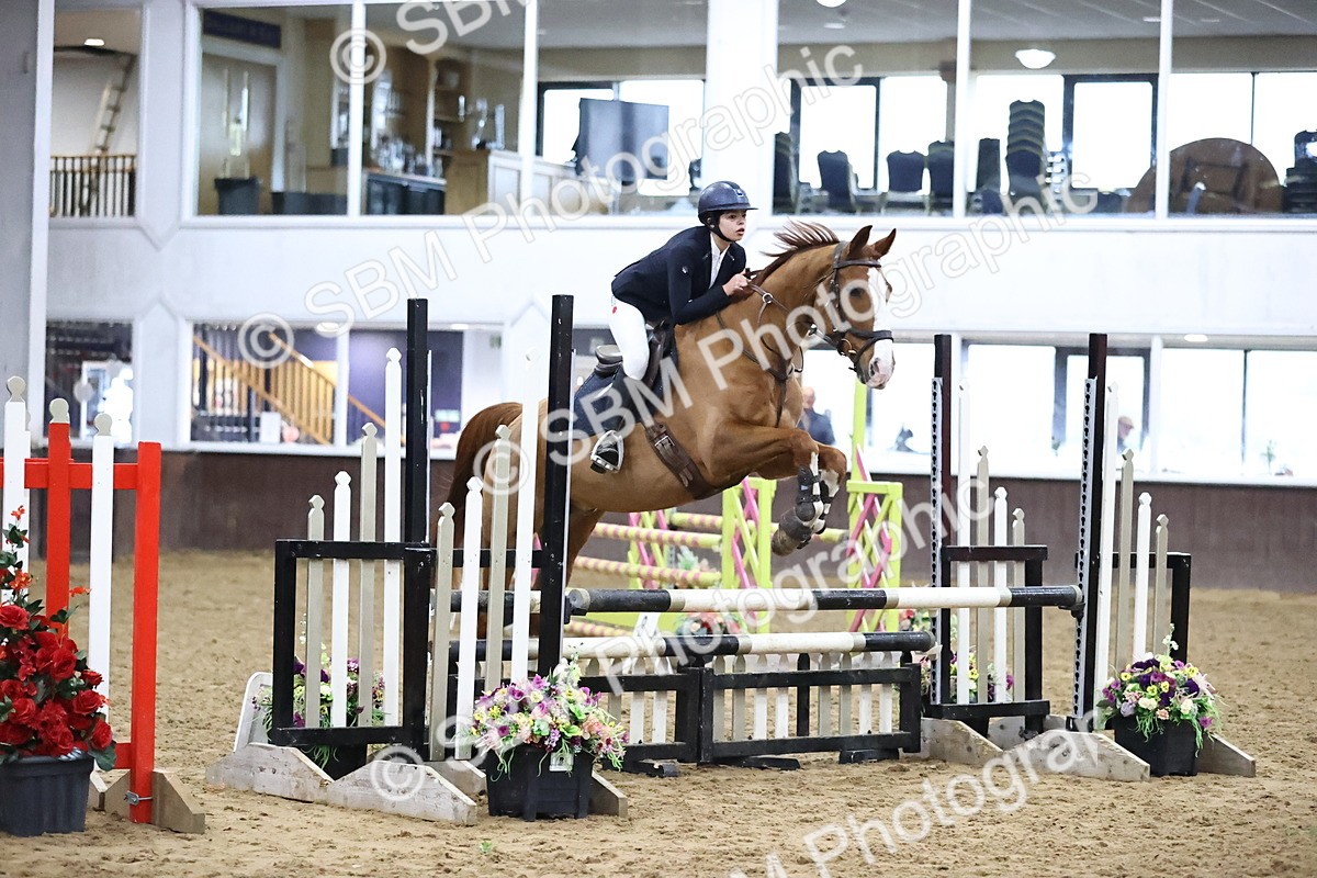 SBM_008981 - Class 20 - Senior British Novice - 80cm