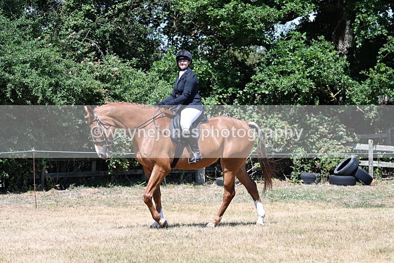 WJ7_2735 - Class 7 Riding Club Show Horse