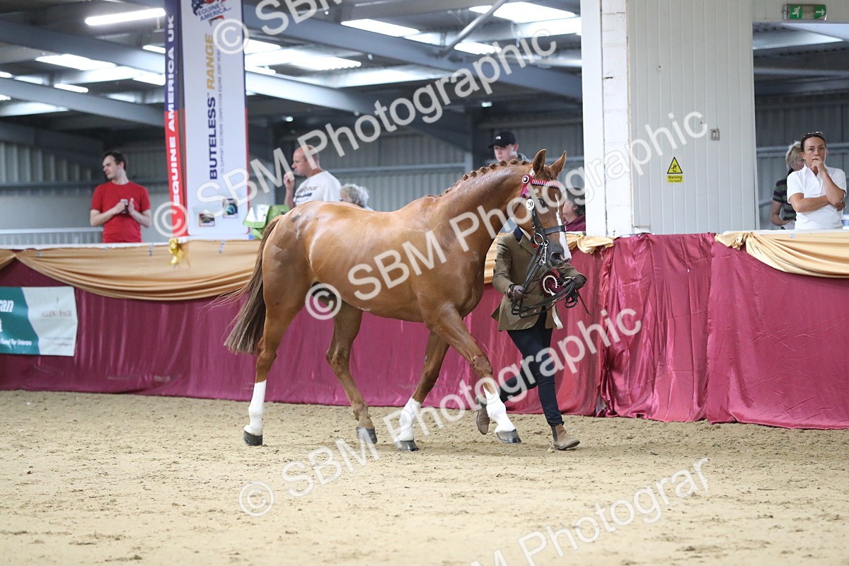 SBM_05075 - Class 8R- Regional -IH Veteran