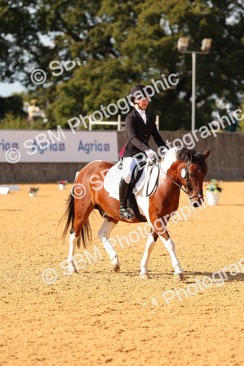 SBM_48414 - D6 - Small Tour Championship - Intro C