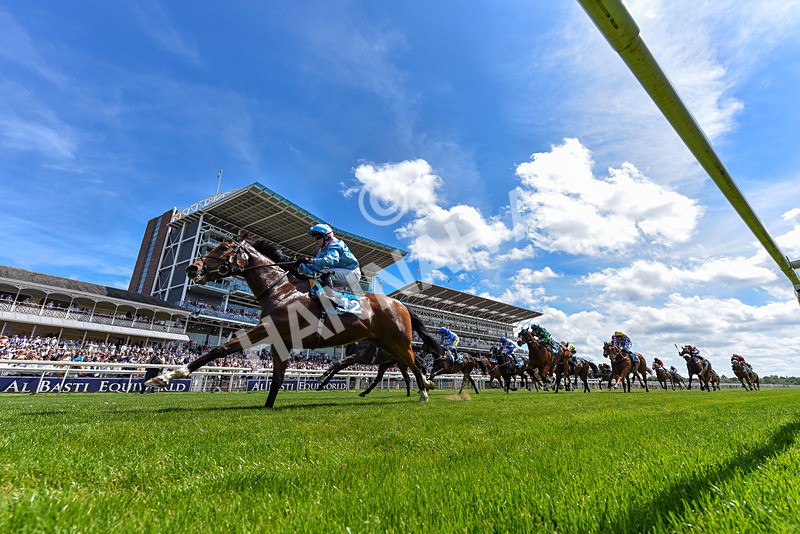 230526-Race 1-Lord Roxby-8383 - Race 1 13.30pm William Hill Keep Your Raceday Positive Handicap
