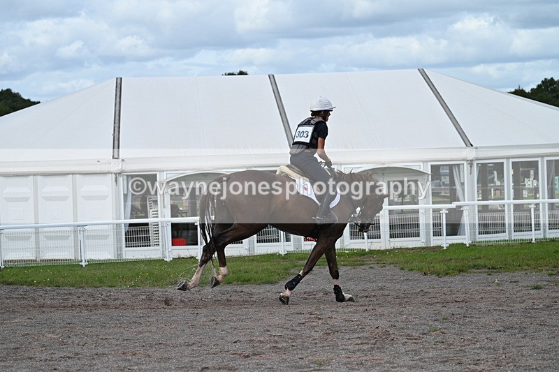 WJ7_1637 - Time 12:34 to 13:16