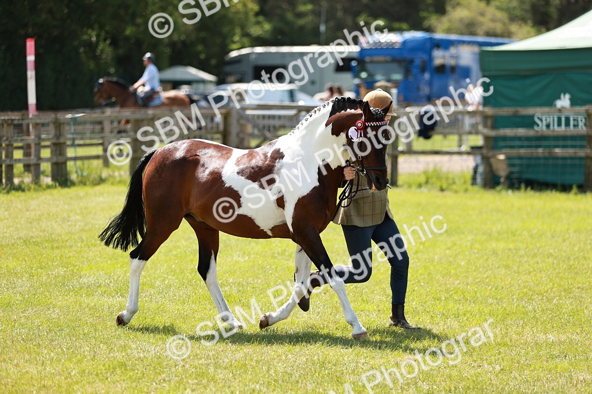 SBM_05444 - Class 39-40 - BSPA Coloured In Hand