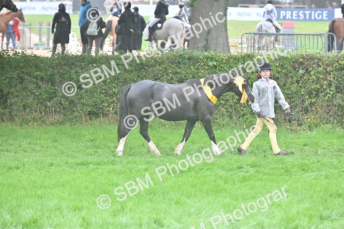 SBM_72155 - Equitation Supreme Championship