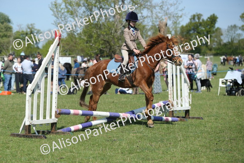 20250427-1934 - Class 2 - Mini Jumping 30cm