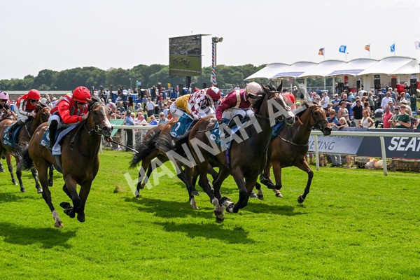 130625-Race 3-Easy Peeler-9027 - Race 3 3.00pm British EBF Supporting Racing With Pride Fillies' Handicap