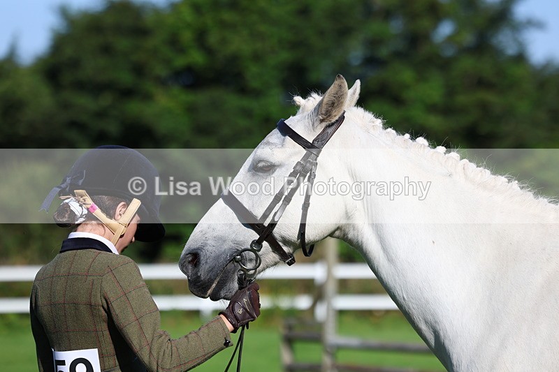 3E7A7691 - Class 1: Novice Working Hunter Pony