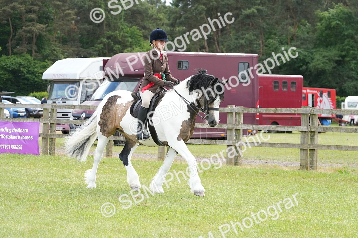 SBM_17349 - Class 107-108 - LIHS BSPS Performance Coloured Horse Pony