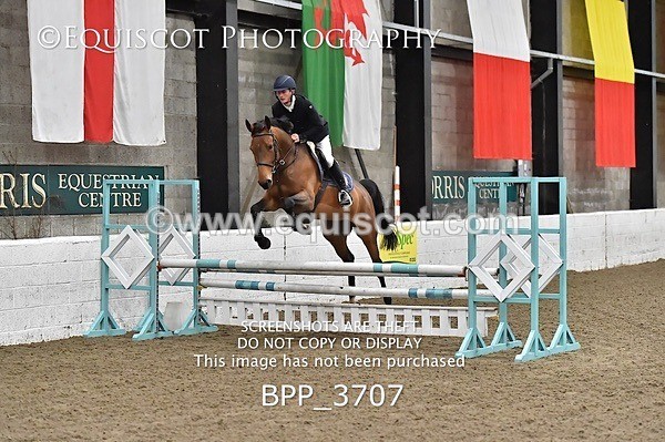 BPP_3707 - FRI CLASS 21 BR NOVICE/90CM