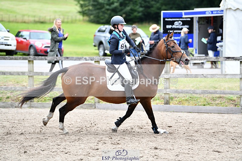 240825X-165417-36920 - 80cm SJ 16.00 to 17.26