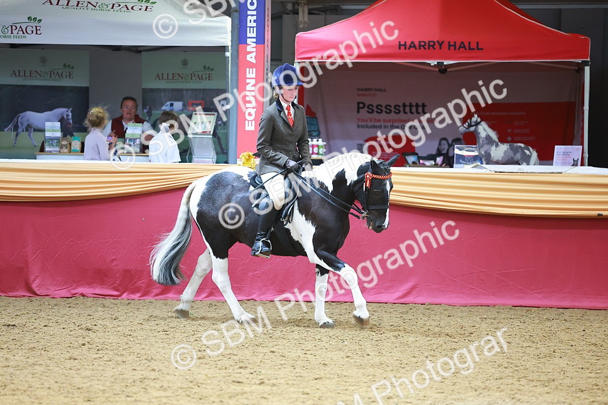 SBM_06130 - Class 12R - Ridden Pre-Vet