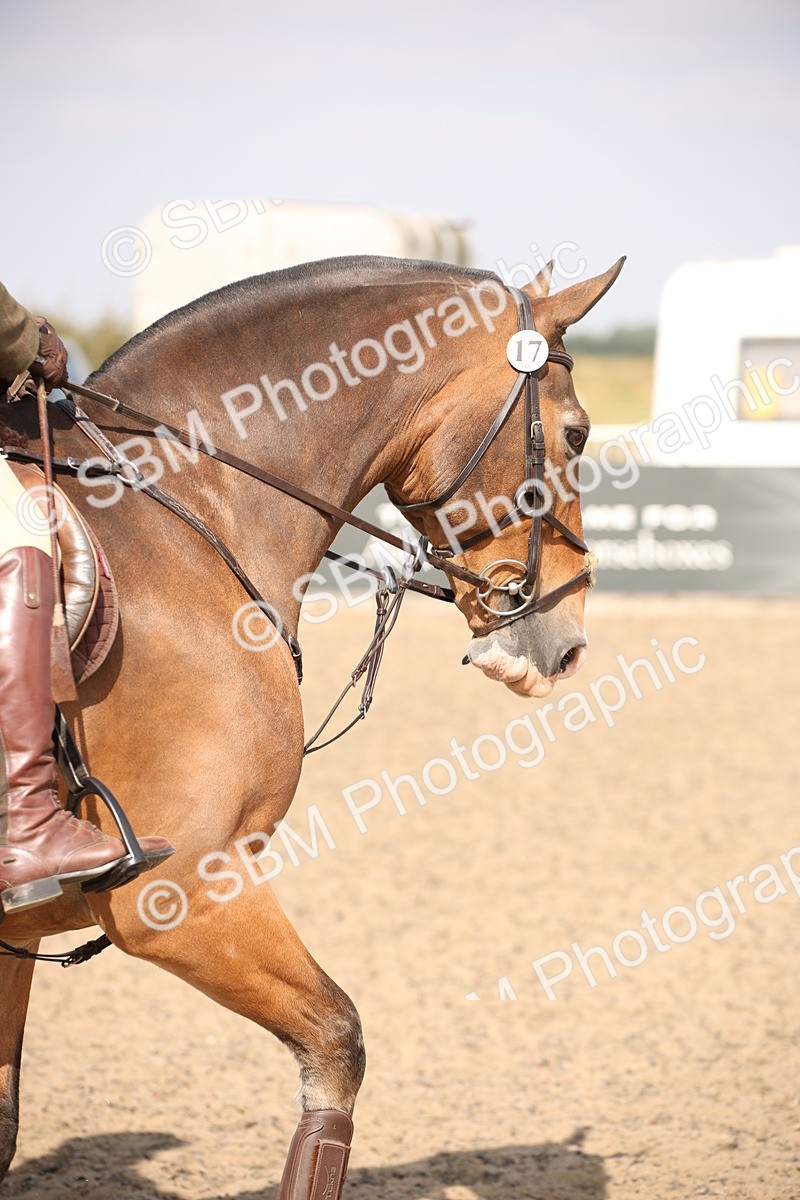 SBM_15020 - Class 408a - Working Veteran 70cm (15-19