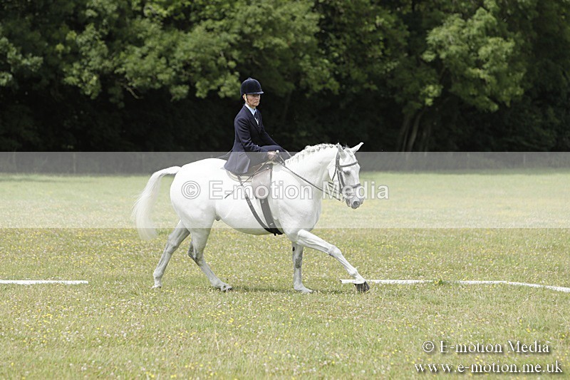 BVR160717-2054 - Class 4 & 5 Dressage 16/07/17