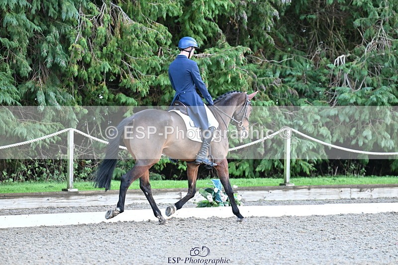 251023A-163646-05904 - A-017-Harrison.Chart