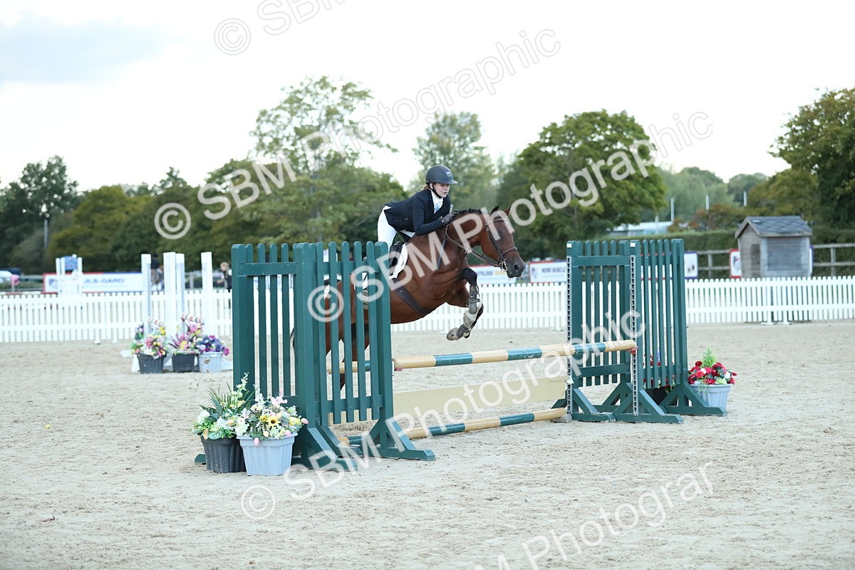 SBM_53719 - Supreme Championship 65cm 70cm