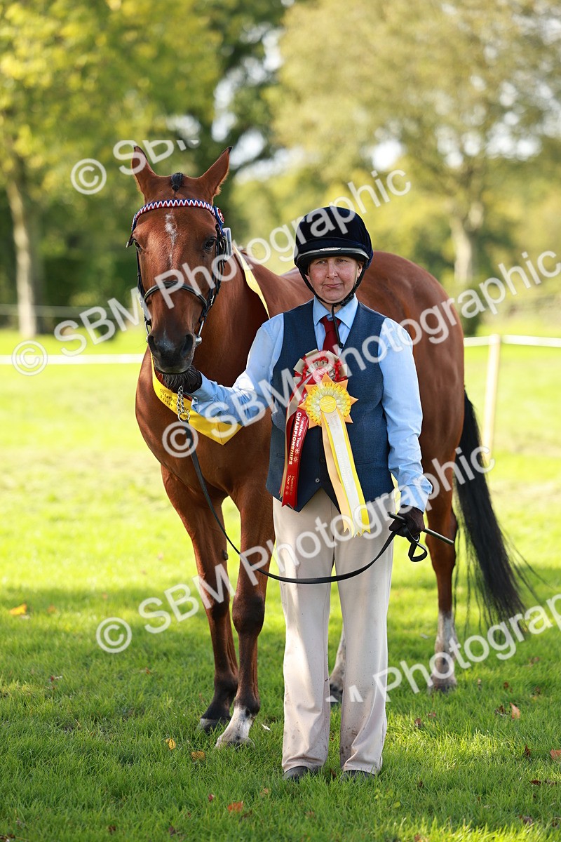 SBM_42219 - S32 - Mountain & Moorland Working Hunter Pony