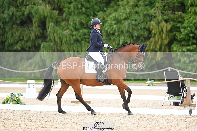 230813-132438-07555 - Cls 13 Medium Bronze 13.15 to End