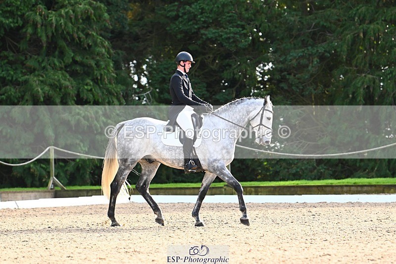 231021-141847-18686 - 252-A.LUCKY.STRIKE-Toby.Roach-DR