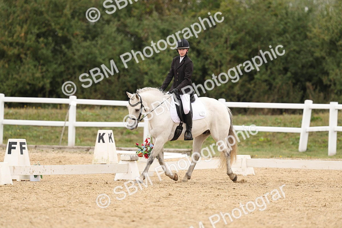 SBM_01086 - Class 8 - Novice 27 Champs