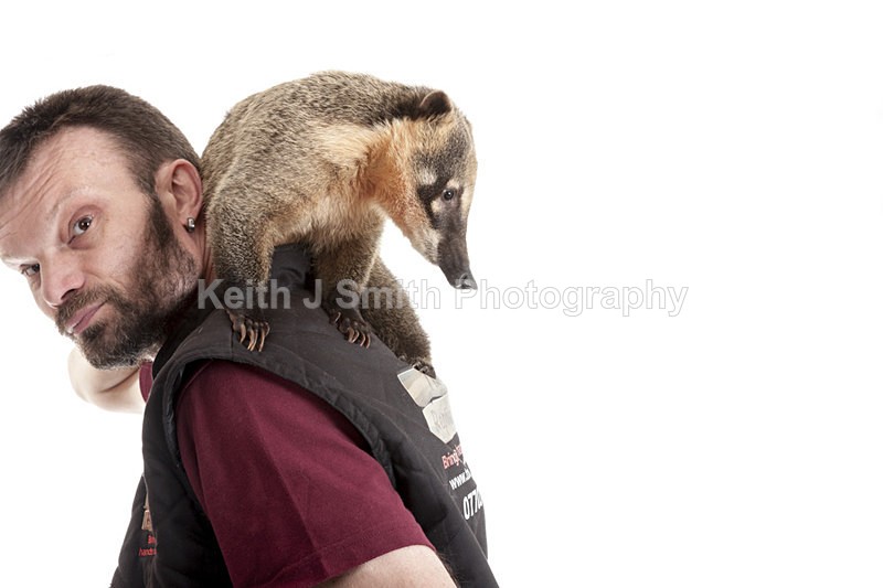 2SKJ8837 - Roaming Reptile Show. II