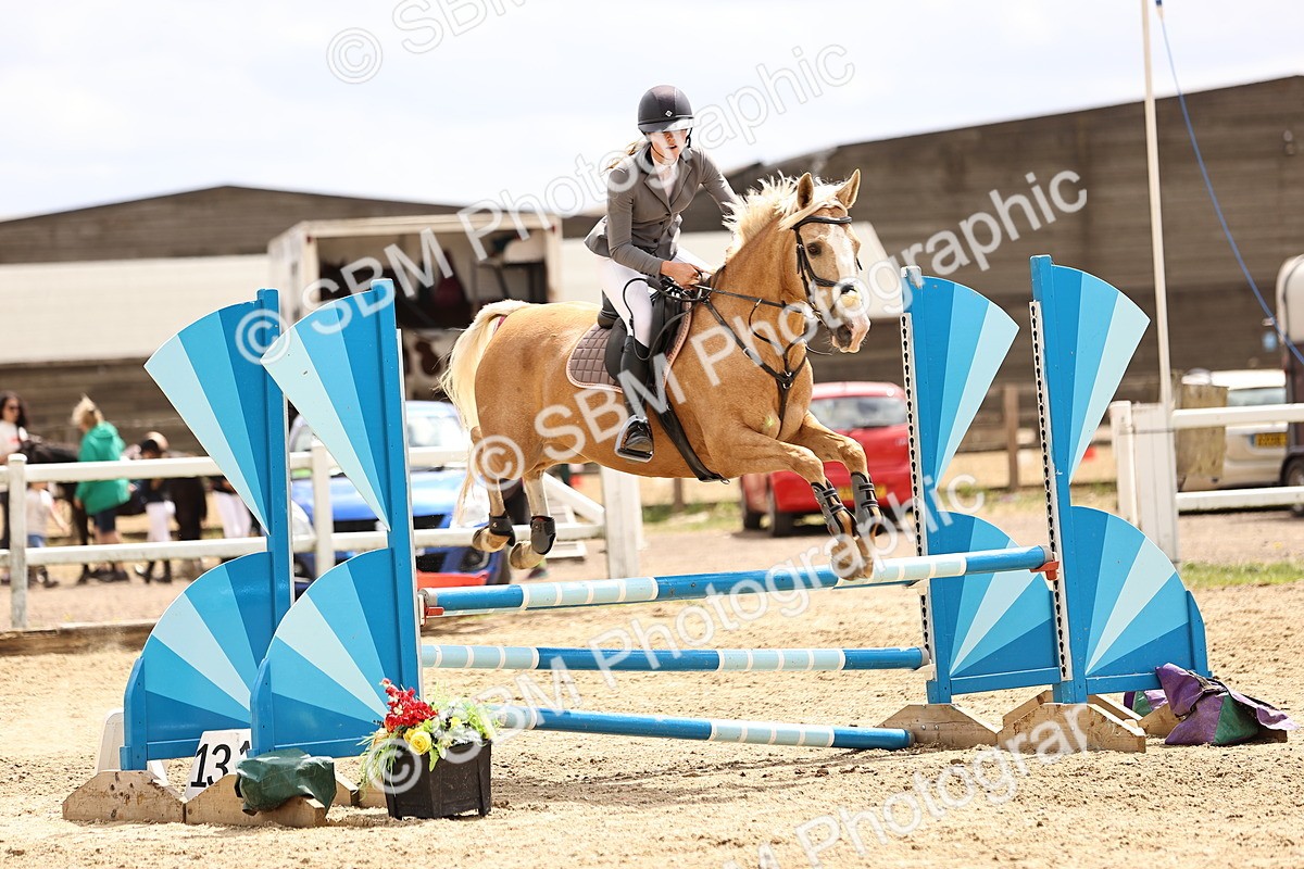 SBM_007644 - Class 2 - 80cm showjumping