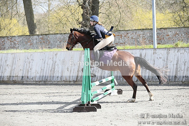 BVRC SJ 170319 174 - Bourne Valley Riding Club Showjumping 17/03/19