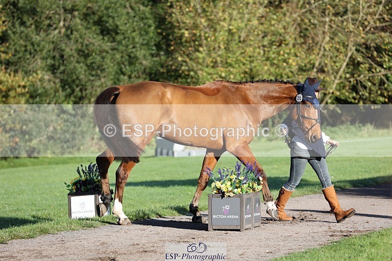 241027-090624-15035 - 355-Esther.Cook-GRANDISSIMO