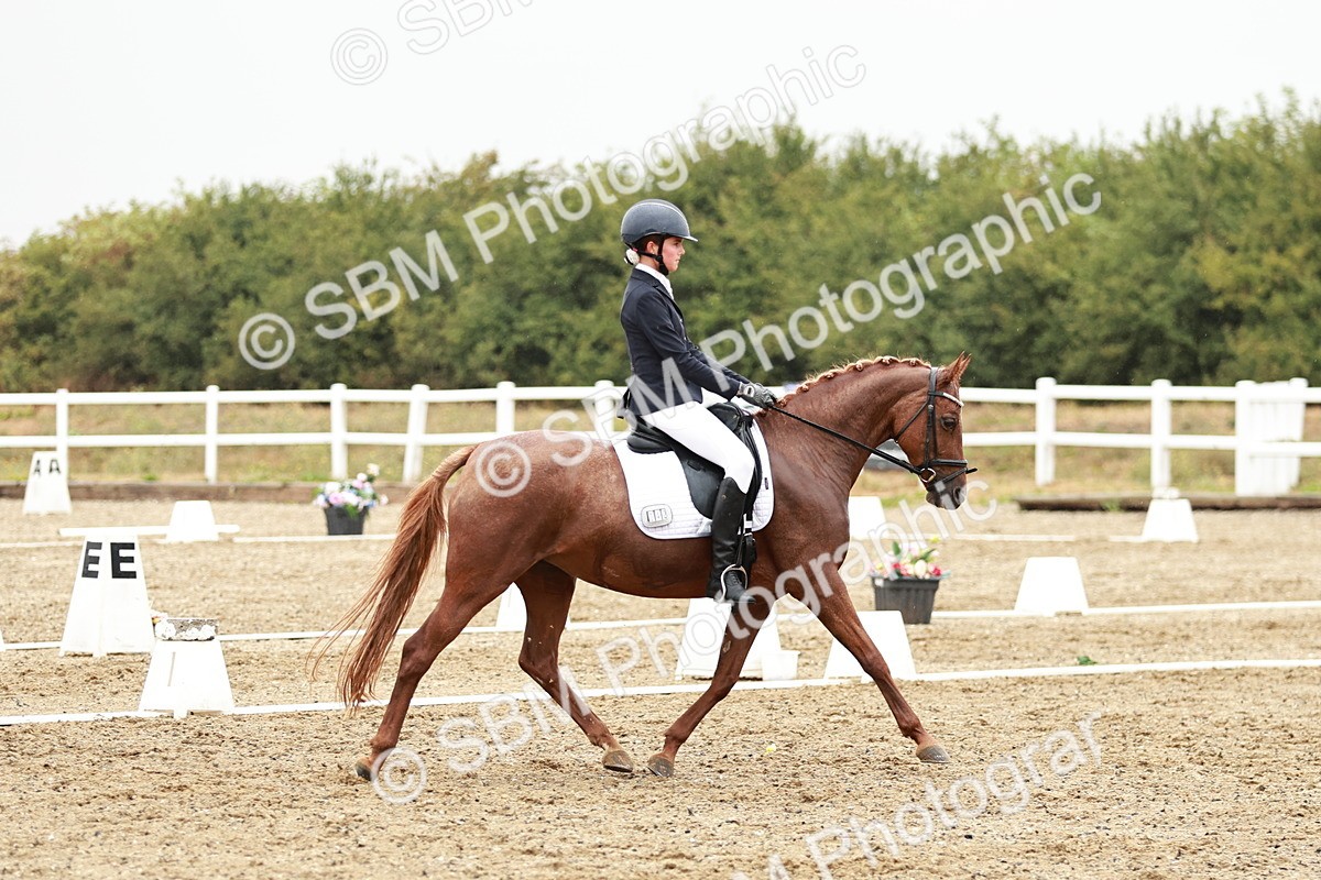 SBM_003968