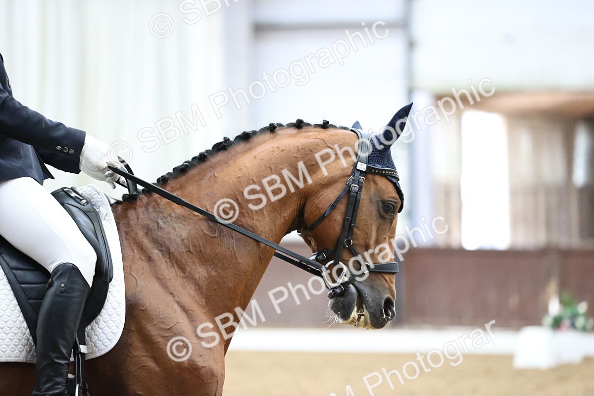 SBM_019069 - Class 21 - Medium 73 - 9.00-10.00