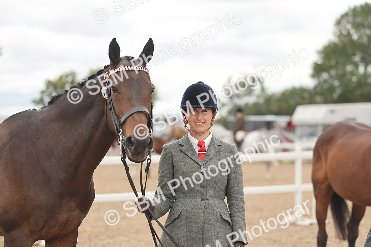 SBM_17087 - Class 313 - IH Retired Racehorse