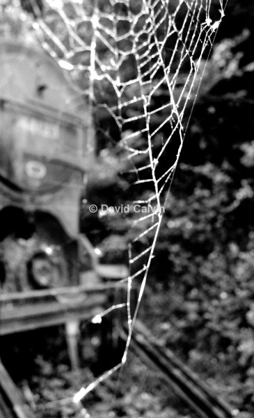 End Of The Line - Dereliction