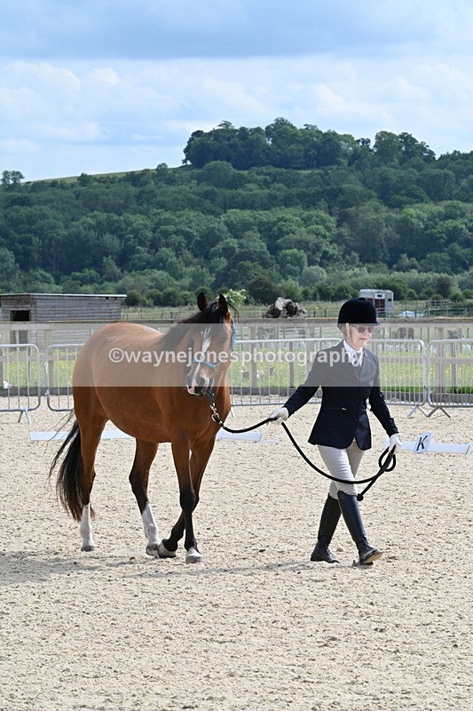 WJ7_8171 - Time 16:10 to 16:25