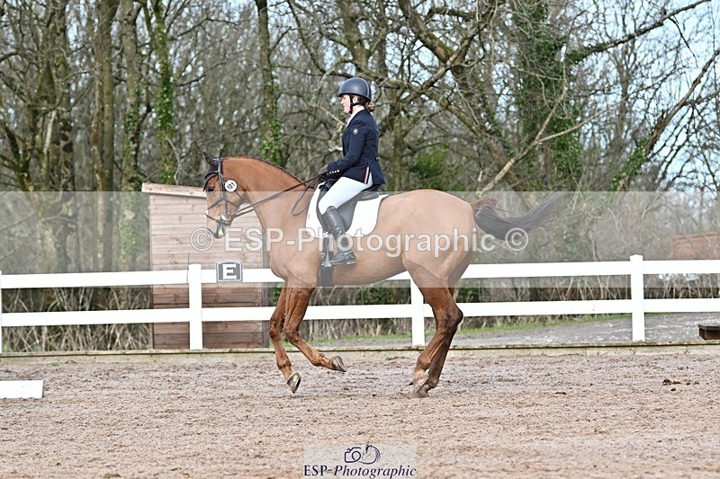 250125-130954-00577 - Dressage - CT Class 6 BE102