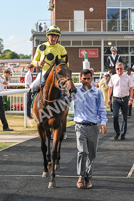 150825-Race 1-Alaminos-2416 - Race 1