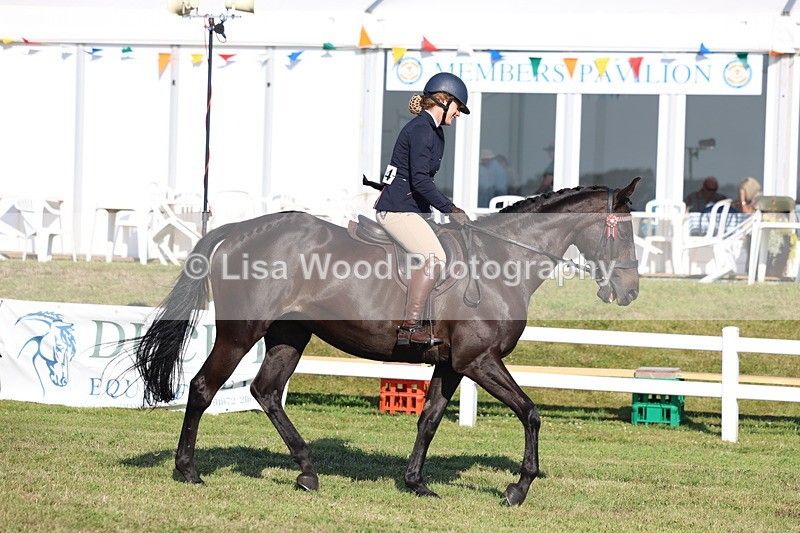 3E7A5263 - Class 2: Rising Star Large Hack/Riding Horse